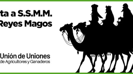 Reyes Magos y logotipo Unión de Uniones