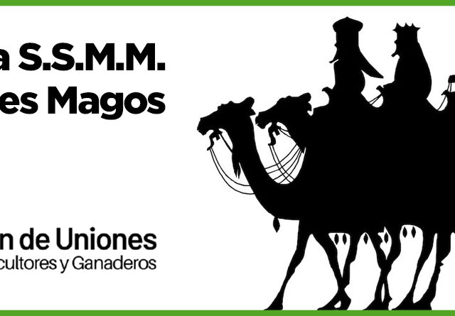 Reyes Magos y logotipo Unión de Uniones
