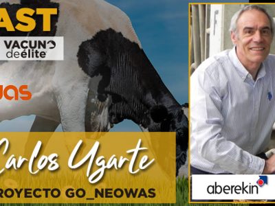 Carlos Ugarte director de ABEREKIN