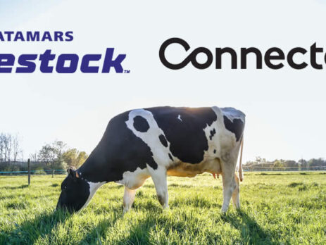 Vaca lechera con logotipos Datamars y Connecterra