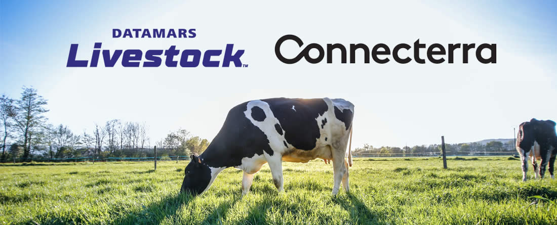 Vaca lechera con logotipos Datamars y Connecterra
