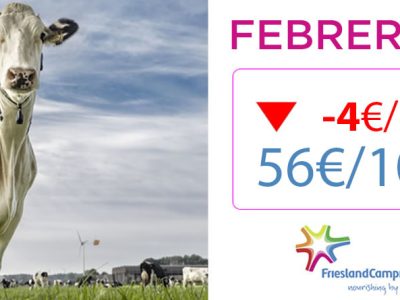 Vaca Frisona Lechera y logotipo Friesland Campiña