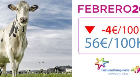 Vaca Frisona Lechera y logotipo Friesland Campiña