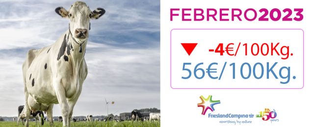 Vaca Frisona Lechera y logotipo Friesland Campiña