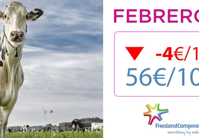 Vaca Frisona Lechera y logotipo Friesland Campiña