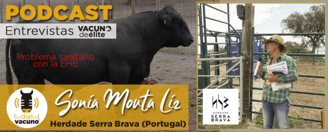 Sonia Liz con toro Aberdeen Angus
