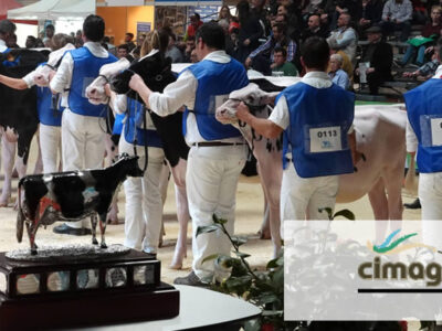 Concursos Frisona en Abanca Cimag Gandagro