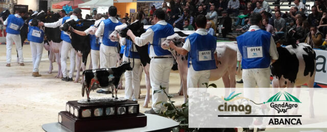 Concursos Frisona en Abanca Cimag Gandagro