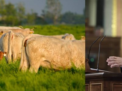 Luis Planas y vacuno extensivo