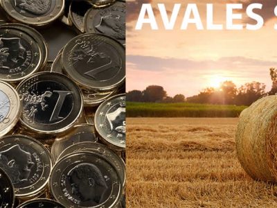Campo agrícola con paquete de paja y monedas de euro
