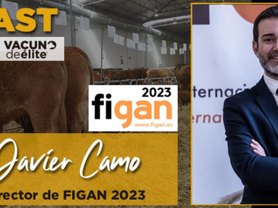 Javier Camo, Director de FIGAN 2023
