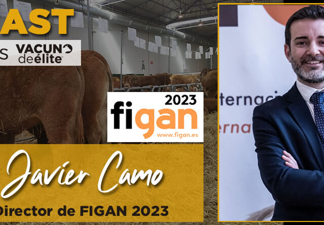 Javier Camo, Director de FIGAN 2023