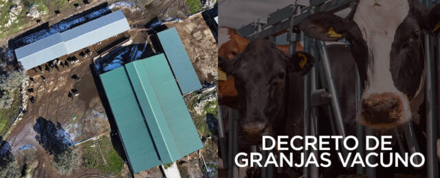 Vacas lecheras y granja