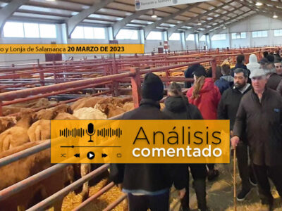 Ganaderos y tratantes en el mercado de Salamanca