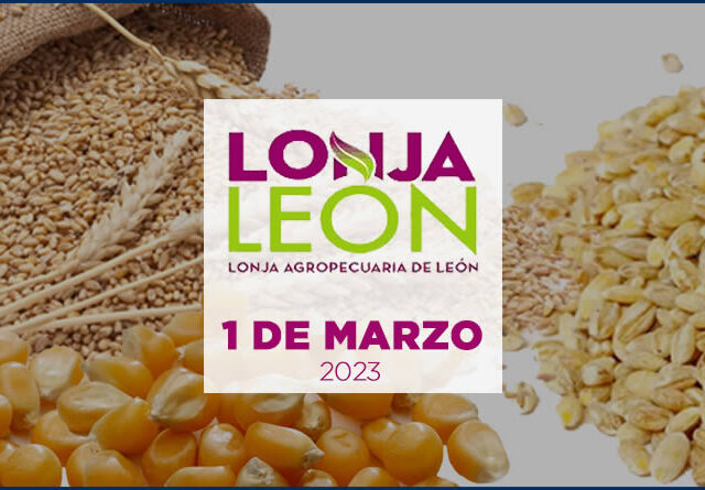 Cereales con logo Lonja de León