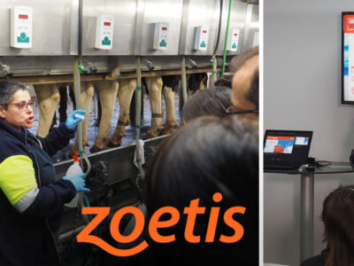 Veterinarios vacuno de leche en formación de Secado Selectivo Zoetis