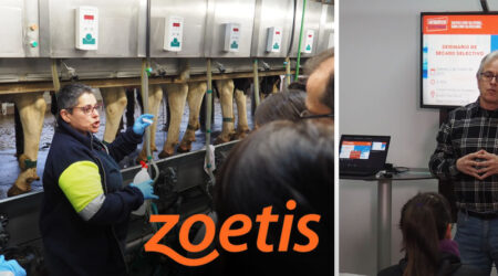 Veterinarios vacuno de leche en formación de Secado Selectivo Zoetis