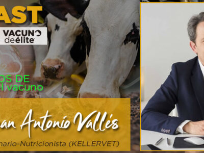 Veterinario Juan Antonio Vallés con vacas de leche de fondo