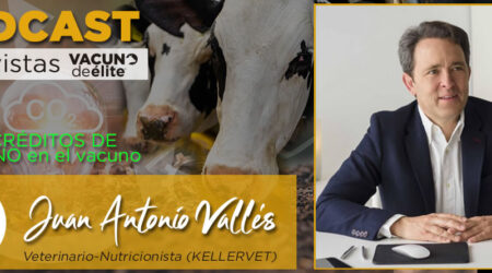 Veterinario Juan Antonio Vallés con vacas de leche de fondo