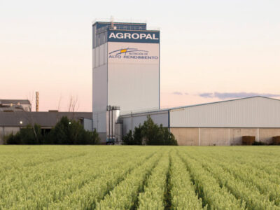 Instalaciones Cooperativa Agropal y campo de cereal