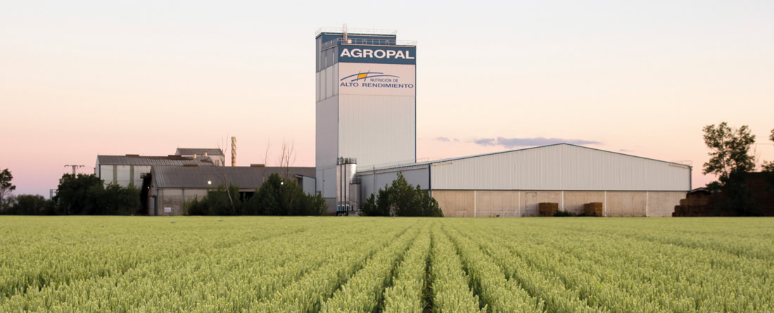 Instalaciones Cooperativa Agropal y campo de cereal