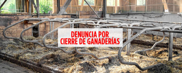 Establo de vacas lecheras vacío