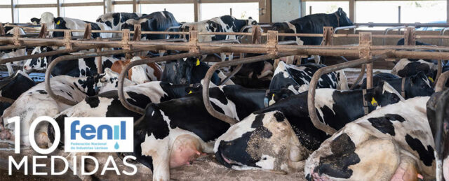 Vacas de leche Frisona Holstein tumbadas