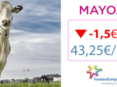 Vaca Frisona Holstein y precios de Friesland Campiña Mayo 2023