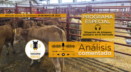 Terneros mercado ganado Salamanca con logo Dial Vacuno podcast