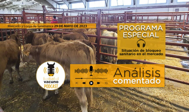 Terneros mercado ganado Salamanca con logo Dial Vacuno podcast