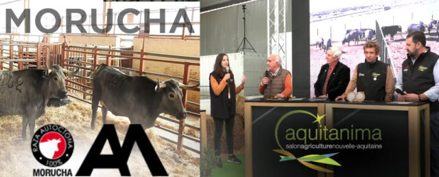 Representantes de Aquitánima 2023 con Jesús Castaño de Asociación Morucha