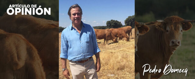 Pedro Domecq presidente Federación de LIMUSIN