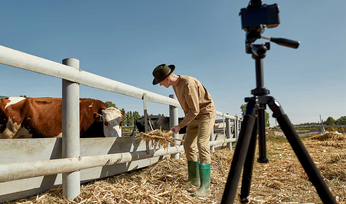 Ganadero con vacas de carne y cámara de fotos