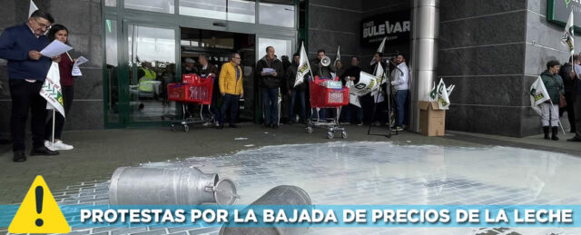 Ganaderos tirando leche de vaca en protesta por la bajada de los precios en Ávila