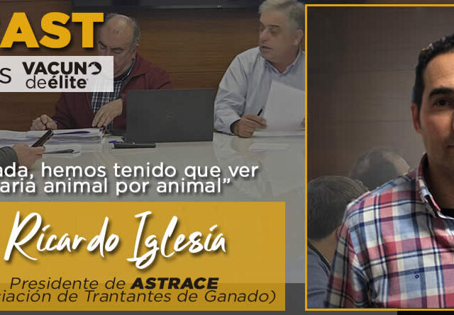 Ricardo Iglesia, presidente de ASTRACE, Trantantes de ganado