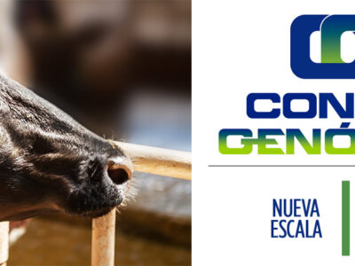 Nueva escala ICO CONAFE Frisona para vacas lecheras
