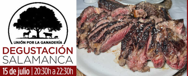 Plato de carne de vacuno