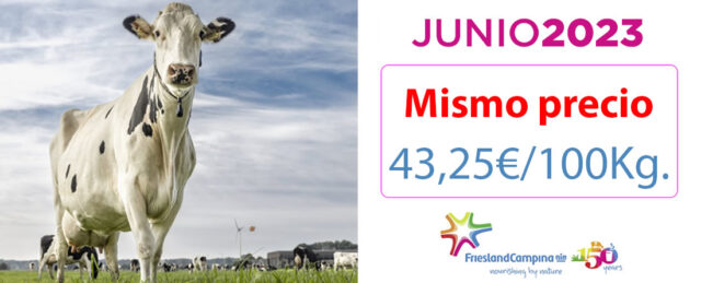 Vaca lechera Frisona con logotipo de Friesland Campiña