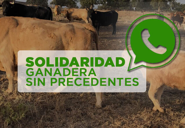 Vacas de campo y logo whatsapp