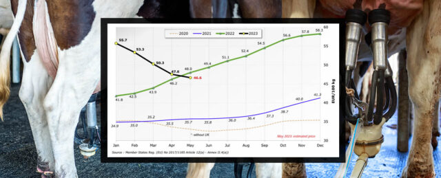 Gráfico precios leche unión europea mayo con ordeño de vacas frisona