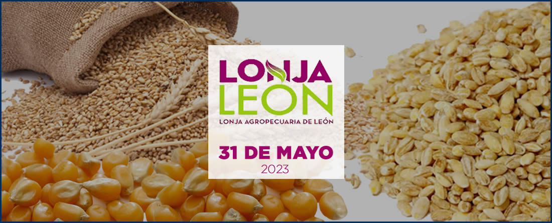 Maíz, trigo y cebada con logotipo Lonja León