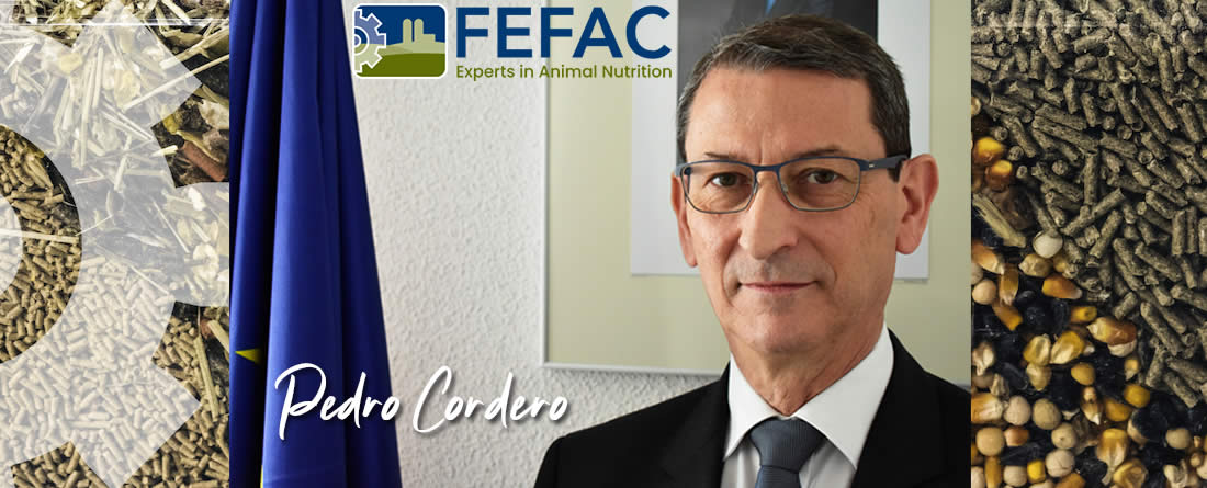 Pedro Cordero presidente de FEFAC