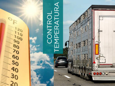 Camión para transportar ganado y termómetro