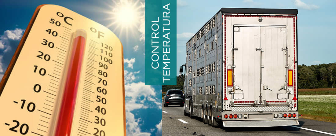 Camión para transportar ganado y termómetro