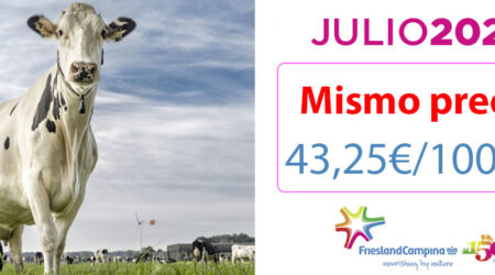 Vaca de leche Holstein Frisona con precio garantizado de leche en Friesland Campiña para Julio 2023