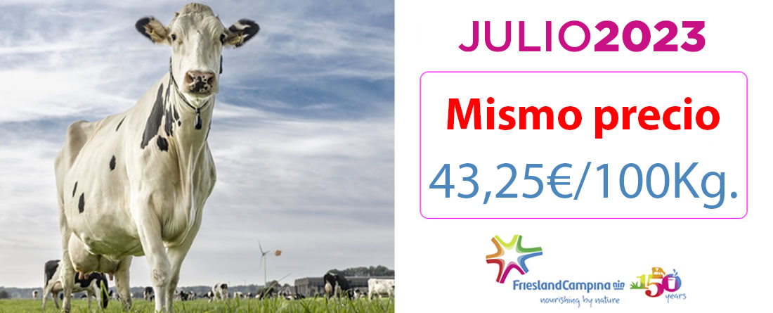 Vaca de leche Holstein Frisona con precio garantizado de leche en Friesland Campiña para Julio 2023