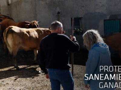 Ganaderos con vacas y logo de UPA