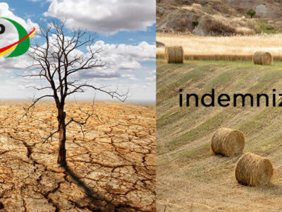 Campo con sequía y parcela agrícola con paquetes de paja