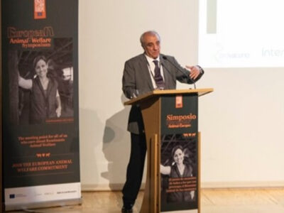 SEPROBA, INTEROVIC Y PROVACUNO revelan los resultados de su exitosa encuesta realizada al sector sobre bienestar animal