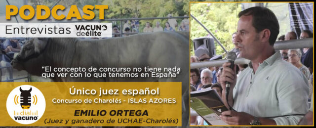 Emilio Ortega, juez y ganadero de UCHAE, raza Charolés